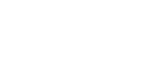ANA - American Neurological Association logo