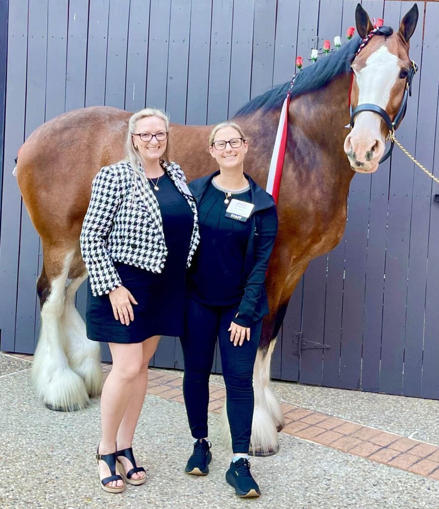 Two women stand smiling in front of a large brown horse with a white face and feathered legs. The horse has red and white ribbons in its mane. They are outdoors, standing on a stone surface in front of a wooden fence.