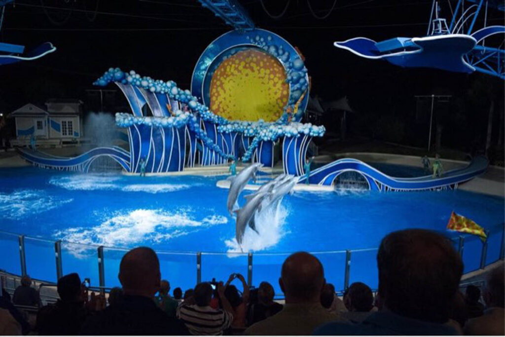 Three dolphins leap out of a bright blue pool during a nighttime aquatic show, with a colorful sun-themed backdrop and an audience watching from the foreground.